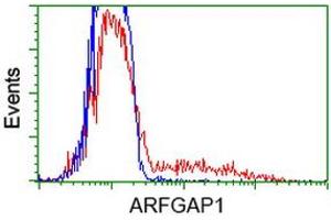Image no. 14 for anti-ADP-Ribosylation Factor GTPase Activating Protein 1 (ARFGAP1) antibody (ABIN1496679) (ARFGAP1 anticorps)