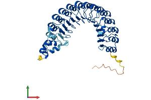 AlphaFold protein structure predicition of Mouse Recombinant Fbxl2 Protein, UniprotID Q8BH16