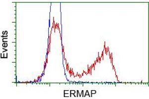 HEK293T cells transfected with either pCMV6-ENTRY ERMAP (RC215022) (Red) or empty vector control plasmid (Blue) were immunostained with anti-ERMAP mouse monoclonal (ABIN2453014), and then analyzed by flow cytometry. (ERMAP anticorps)