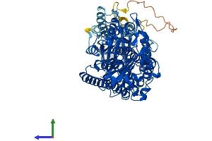 AlphaFold protein structure predicition of Human Recombinant ALOXE3 Protein, UniprotID Q9BYJ1