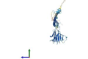 AlphaFold protein structure predicition of Human Recombinant TRIM15 Protein, UniprotID Q9C019