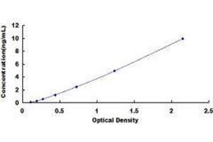 Podoplanin (PDPN) ELISA Kit
