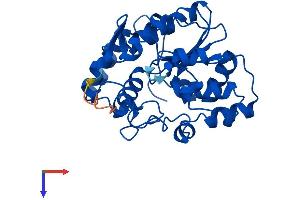 AlphaFold protein structure predicition of Human Recombinant SULT1C2 Protein, UniprotID O00338