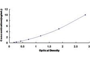 Typical standard curve (Betacellulin Kit ELISA)
