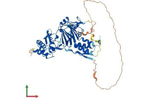 AlphaFold protein structure predicition of Mouse Recombinant Smad1 Protein, UniprotID P70340
