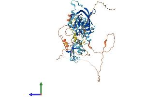 AlphaFold protein structure predicition of Mouse Recombinant Apba3 Protein, UniprotID O88888