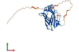 AlphaFold protein structure predicition of Human Recombinant UNC119 Protein, UniprotID Q13432