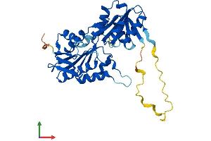 AlphaFold protein structure predicition of Mouse Recombinant Prpsap1 Protein, UniprotID Q9D0M1