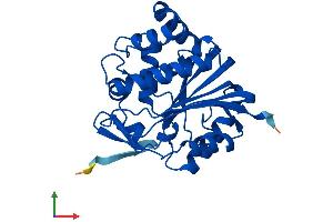 AlphaFold protein structure predicition of Mouse Recombinant Inmt Protein, UniprotID P40936