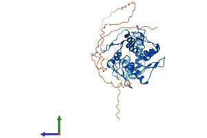 AlphaFold protein structure predicition of Human Recombinant ZFP92 Protein, UniprotID A6NM28