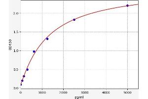 Typical standard curve (TRKA Kit ELISA)