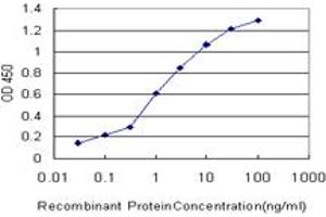 Detection limit for recombinant GST tagged PDK3 is approximately 0. (PDK3 anticorps  (AA 174-263))