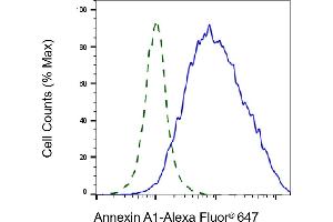 Validation of Annexin A1 knockdown using flow cytometry. (Recombinant Annexin a1 anticorps)