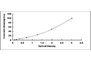 Creatine Kinase-MB Isoenzyme ELISA Kit