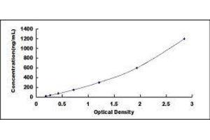 ELISA image for Clusterin (CLU) ELISA Kit (ABIN415738)