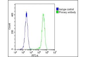 Overlay histogram showing U-2 OS cells stained with (ABIN656235 and ABIN2845551) (green line).