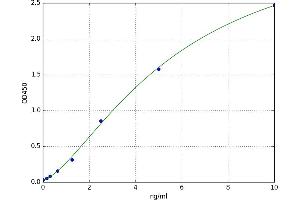 A typical standard curve