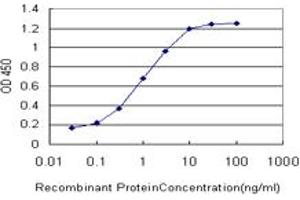 Detection limit for recombinant GST tagged GRM7 is approximately 0. (GRM7 anticorps  (AA 431-520))