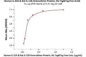 Immobilized Human IL-23 R, Fc Tag (ABIN6731281,ABIN6809891) at 5 μg/mL (100 μL/well) can bind Human IL-23A & Rat IL-12B Heterodimer Protein, His Tag&Tag Free (3) with a linear range of 0.