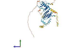 AlphaFold protein structure predicition of Human Recombinant NSMCE4A Protein, UniprotID Q9NXX6