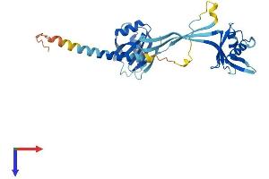 AlphaFold protein structure predicition of Human Recombinant NMI Protein, UniprotID Q13287