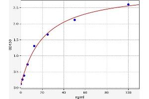 Typical standard curve (CD40 Ligand Kit ELISA)