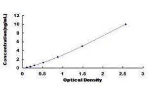 Asporin (ASPN) ELISA Kit
