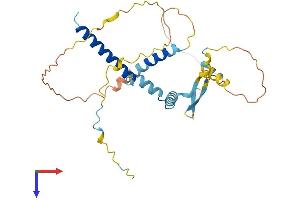 AlphaFold protein structure predicition of Human Recombinant CFDP1 Protein, UniprotID Q9UEE9