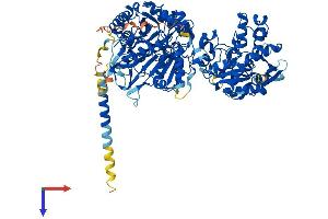 AlphaFold protein structure predicition of Mouse Recombinant Ndst2 Protein, UniprotID P52850