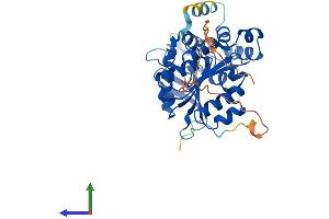 AlphaFold protein structure predicition of Mouse Recombinant Ndrg4 Protein, UniprotID Q8BTG7