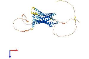 AlphaFold protein structure predicition of Human Recombinant GPR152 Protein, UniprotID Q8TDT2