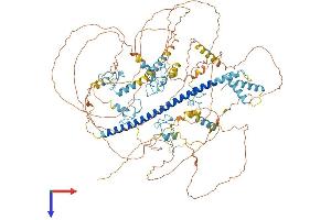 AlphaFold protein structure predicition of Human Recombinant ST18 Protein, UniprotID O60284