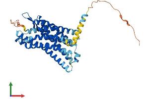 AlphaFold protein structure predicition of Human Recombinant FPR3 Protein, UniprotID P25089