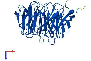 AlphaFold protein structure predicition of Human Recombinant WDR82 Protein, UniprotID Q6UXN9