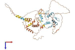 AlphaFold protein structure predicition of Human Recombinant ZBTB18 Protein, UniprotID Q99592