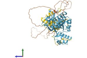 AlphaFold protein structure predicition of Mouse Recombinant Nprl3 Protein, UniprotID Q8VIJ8