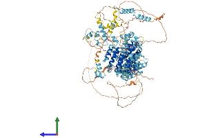 AlphaFold protein structure predicition of Mouse Recombinant Cebpz Protein, UniprotID P53569