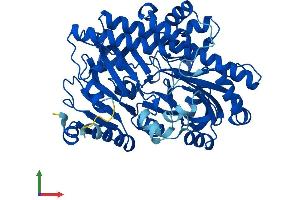 AlphaFold protein structure predicition of Human Recombinant RTCB Protein, UniprotID Q9Y3I0