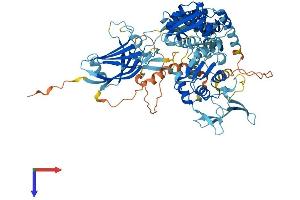 AlphaFold protein structure predicition of Human Recombinant SMURF2 Protein, UniprotID Q9HAU4