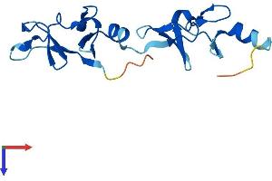 AlphaFold protein structure predicition of Human Recombinant LMO1 Protein, UniprotID P25800
