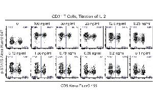 Flow Cytometry (FACS) image for Human T Cell Activation Kit (ABIN1305339)