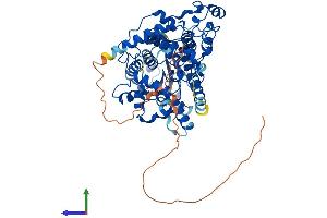 AlphaFold protein structure predicition of Human Recombinant CRY1 Protein, UniprotID Q16526