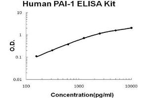 Human PAI-1 PicoKine ELISA Kit standard curve (PAI1 Kit ELISA)