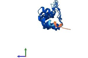 AlphaFold protein structure predicition of Human Recombinant CDKN2C Protein, UniprotID P42773