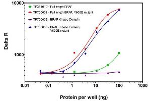 Bioactivity measured with Activity Assay