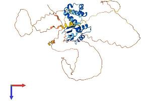 AlphaFold protein structure predicition of Mouse Recombinant Fli1 Protein, UniprotID P26323