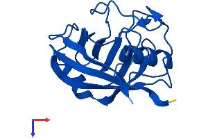AlphaFold protein structure predicition of Human Recombinant PPIA Protein, UniprotID P62937