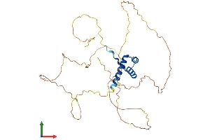 AlphaFold protein structure predicition of Human Recombinant OTX1 Protein, UniprotID P32242