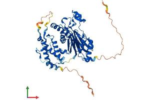 AlphaFold protein structure predicition of Human Recombinant PPM1F Protein, UniprotID P49593