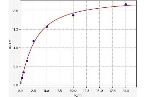 Heparan Sulphate Protoglycans (HSPG) ELISA Kit